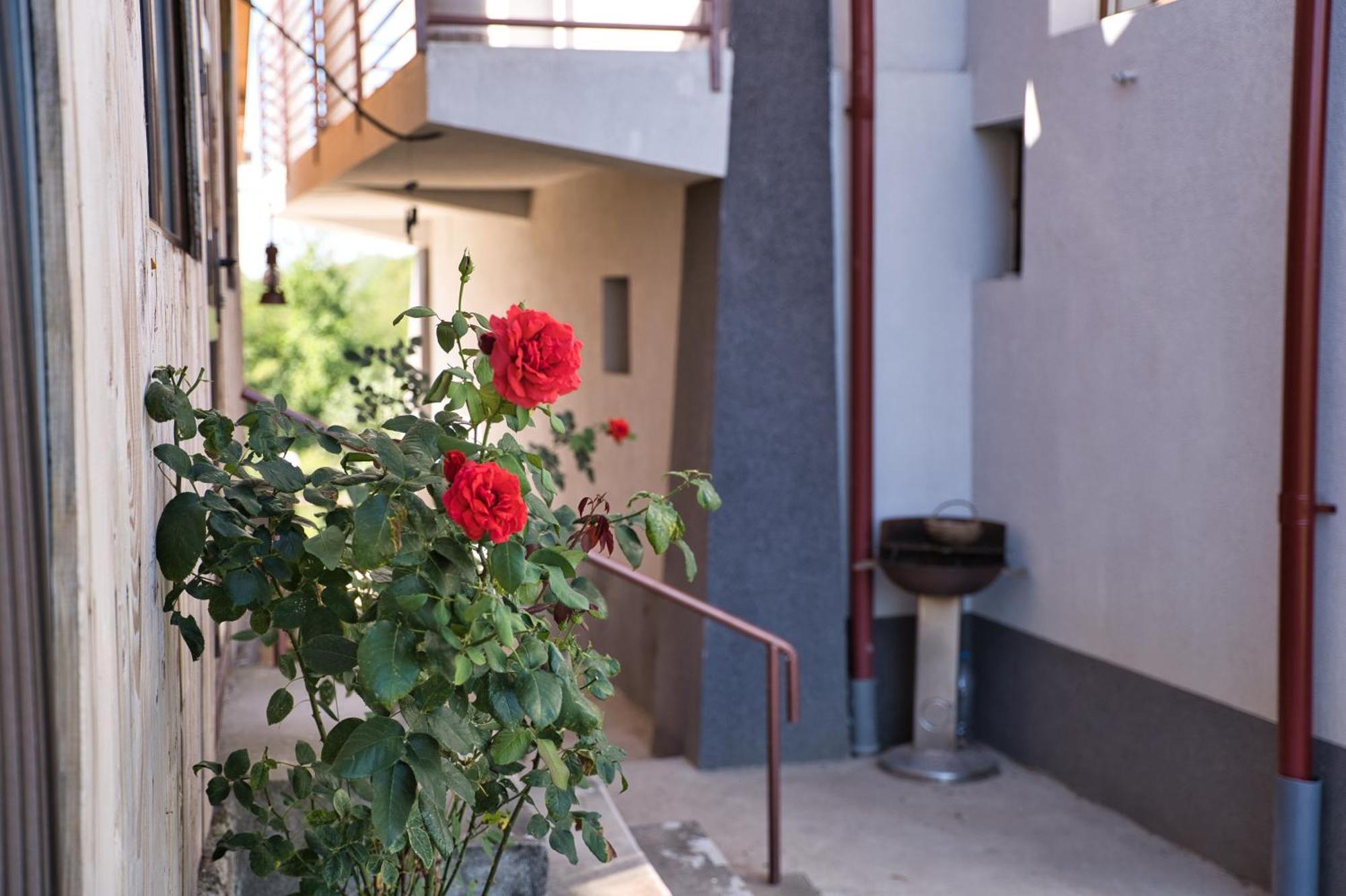 Perla Argesului, Ciubar, Piscina, Lift, Gratar, Cabana, Pensiuni, Hotel Cazare Transfagarasan Curtea De Arges Albestii de Arges Ngoại thất bức ảnh