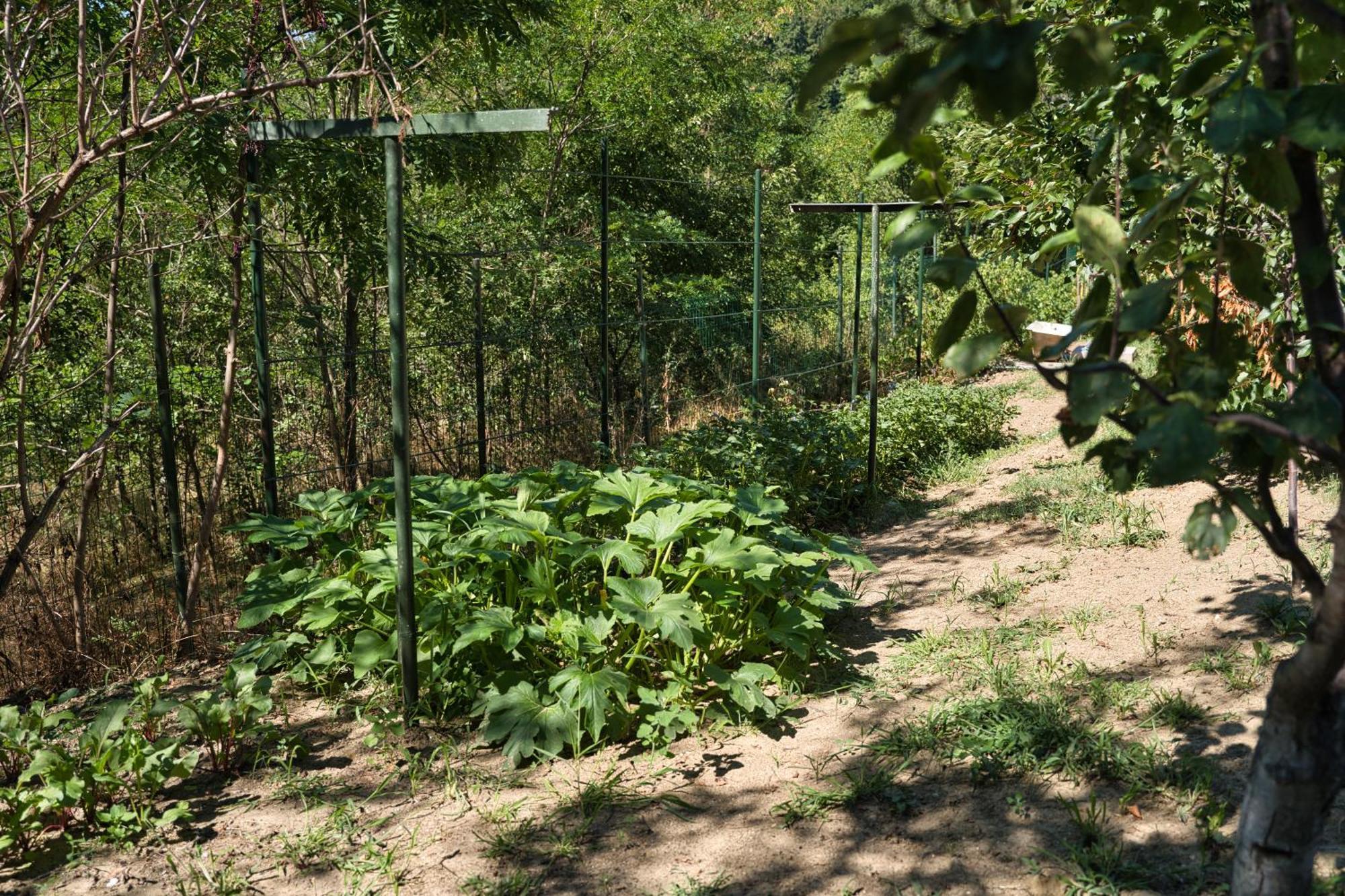 Perla Argesului, Ciubar, Piscina, Lift, Gratar, Cabana, Pensiuni, Hotel Cazare Transfagarasan Curtea De Arges Albestii de Arges Ngoại thất bức ảnh